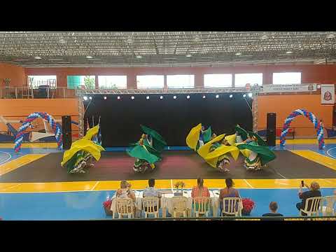 33° Ginastrada Guaratinguetá. Santo André. coreografia "Aquarela das Cores".