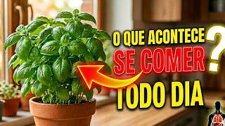 Se Você Tem Pressão Alta: Manjericão Faz Isso com Suas Artérias