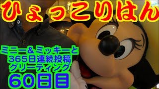 ミニー＆ミッキーと365日連続投稿グリーティング60日目〜ひょっこりはん〜