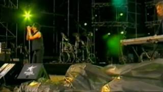 The Young Gods "In The Otherland" Live Paléo Festival 2001