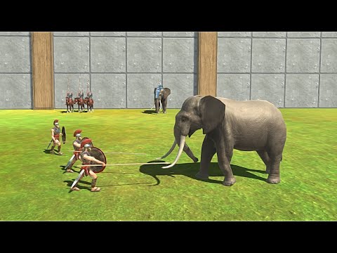 3X ANCIENT HUMANS VS MODERN MAMMALS Tournament - Animal Revolt battle Simulator