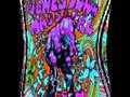 Anemone - Brian Jonestown Massacre 