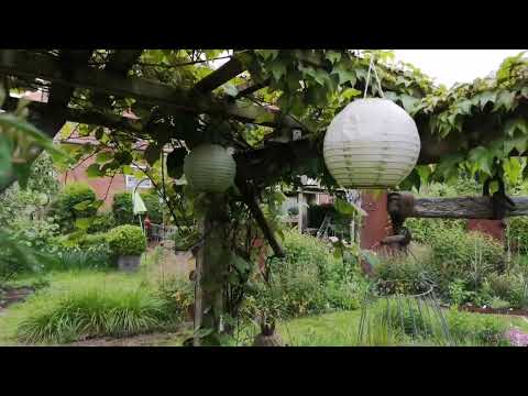 Der Garten im Mai 2022 die Ballsaison ist eröffnet.