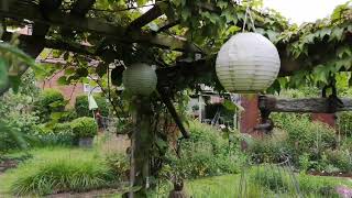 Der Garten im Mai 2022 die Ballsaison ist eröffnet.