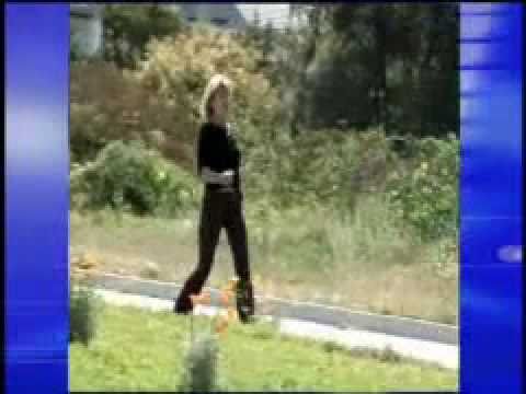 Primal Reflex Release Technique™