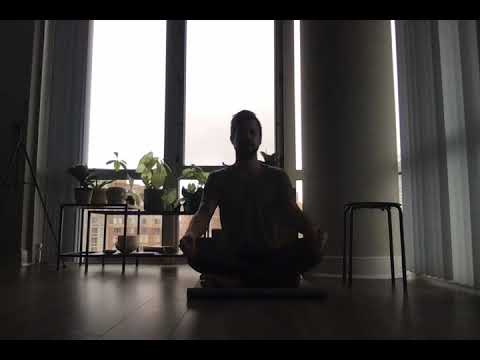 Breathwork and Meditation Day 293 - Real Dailyness Practice