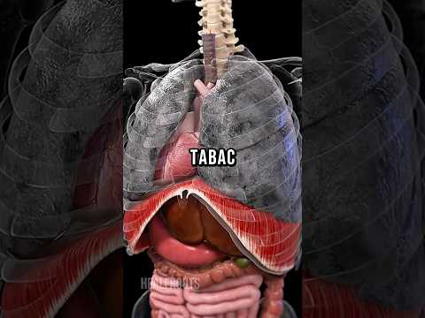 Tu crois que la vape, c’est inoffensif ? Voici ce qui se passe VRAIMENT dans tes poumon…