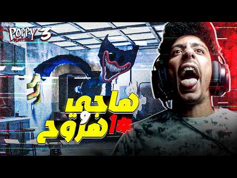 Poppy Playtime: Escape from Catnapp | 😰 Poppy Playtime Chapter 3 #1