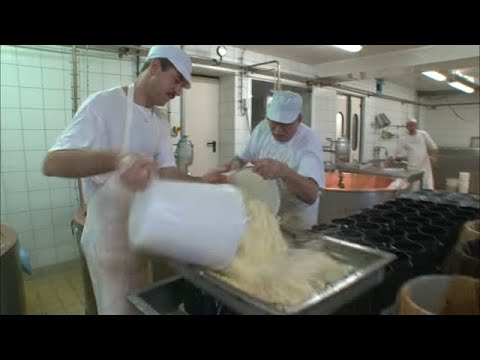 La fabrication du fromage, un vrai travail d'alchimiste