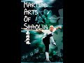 ENG SUB Jet Li S Martial Arts Of Shaolin 1986