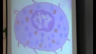 Dr. Dalia- C .T-Free cells  -15/2 (Part 1)