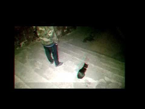 MŁODY_OSA - enterthevoid.