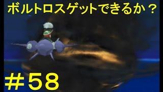 ボルトロス ポケットモンスター ルガルガン カプ レヒレ ガラガラ ボルトロス ポケットモンスター ルガルガン カプ レヒレ ガラガラ