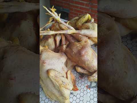 franguinho caipira no restaurante da dona ida Santana do itararé