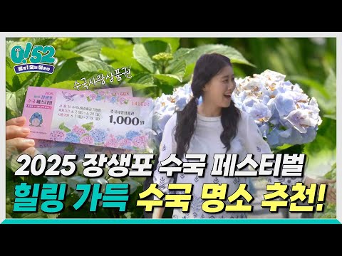 [생방송0!52] 향기로움 가득! 장생포 수국페스티벌