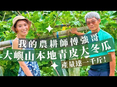 【港女大嶼山耕田】我的農耕師傅強哥與梅窩青皮大冬瓜! 120天栽種，只為延續香港原味道 Explore Hong Kong farming in Mui Wo, Lantau