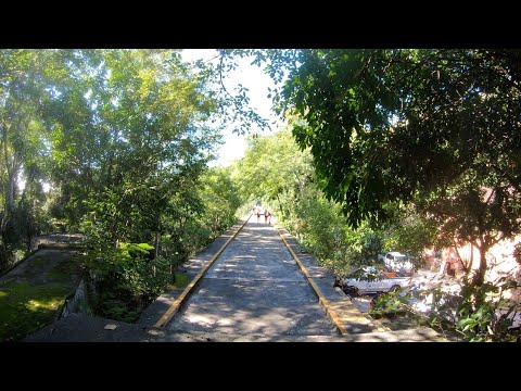 ⁴ᴷ⁶⁰ Walking Rio de Janeiro - Brazil: Reopening of Pedra Branca State Park