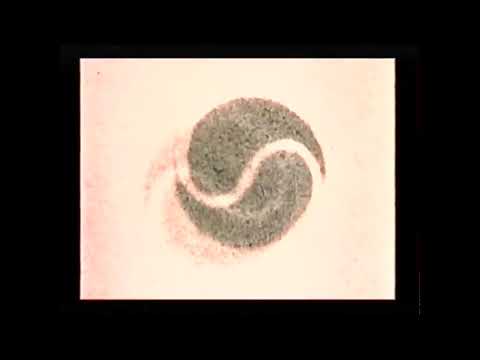 Runabout - Runabout - DX6