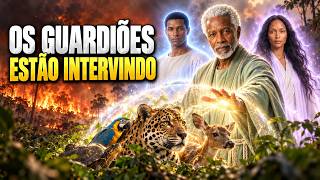 DESENCARNE COLETIVO DOS ANIMAIS AMAZÔNIA EM CHAMAS  - Filme Espírita Completo