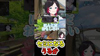 セミになるうるかw【切り抜き】【#shorts 】【うるか】【なるせ】【白雪レイド】【APEX】