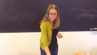 Scenario 8: Environmental Impact Assessment