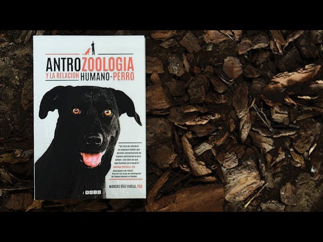 Vídeo relacionado con Antrozoología: La ciencia que explora nuestra relación con los animales (Mascotas)