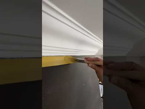 CUTTING IN LIKE A PRO #paintwarrior #youtube #ytshorts #viral #tips