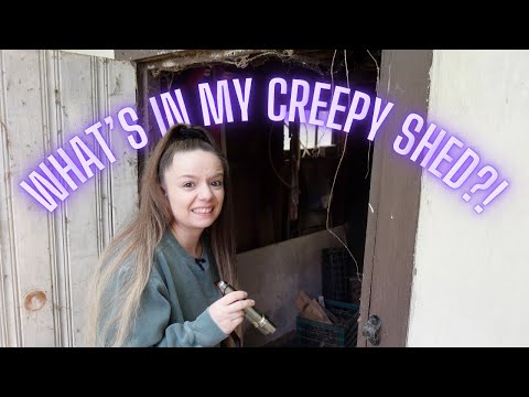 WHAT'S IN MY CREEPY SHED?! | HOT MESS LAKE HOUSE RENOVATION | LEXI DIY