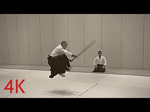 [4K VIDEO] AIKIDO Funakoshi Shihan. Renbukan Dojo Seminar. Aug 2019