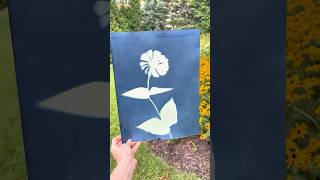 Cyanotype Art Science