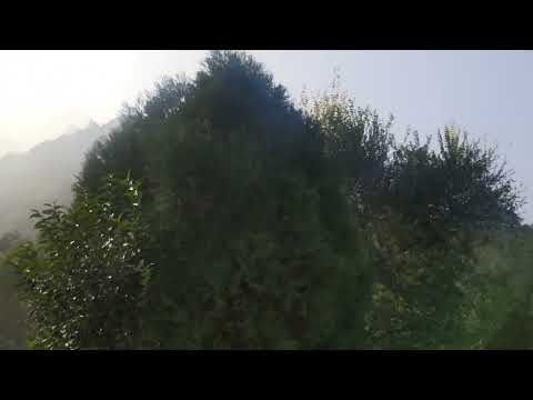 História de vida Henan Anyang Linzhou Bingbingback 20211002