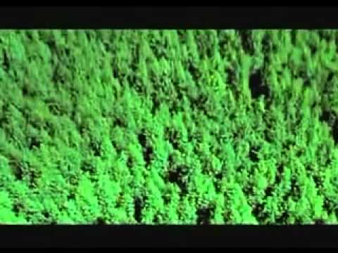 Spot Bilbor - Puritate de la altitudine