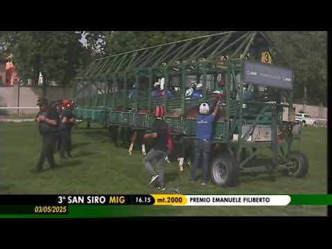 Zauberkönig gewinnt am 03.05.2025 überlegen in Mailand den Premio Emanuele Filiberto