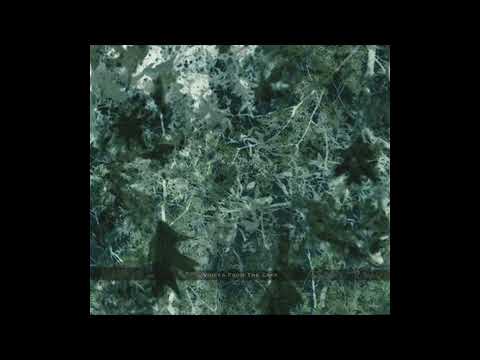 Voices From The Lake Feat. Donato Dozzy & Neel - Voices From The Lake [Full CD Album]
