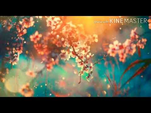 TPM Tamil song no.490 Yesuvae ummai pol agq