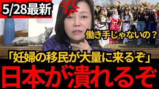 [日本保守党]※妊婦の移民が大量に⁈高市政権であろうが自民党が与党だとこのまま日本は壊されます。[百田尚樹 有本香]