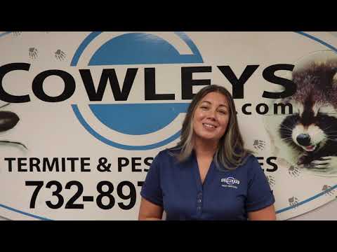 Cowleys is Hiring!