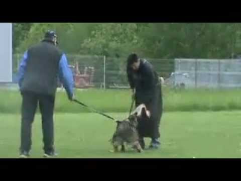 Elyscha z Jukasu - protection - 7 months