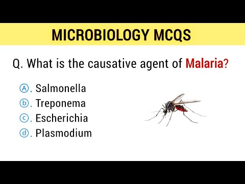 Microbiology Mcqs | microbiology mcq questions answers