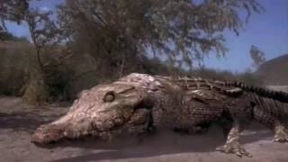 Download lagu Crocodile Reptile and death scenes 3... mp3