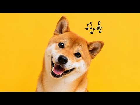 How to Get Your Dog's Attention? Try These Sounds They Love! ❤️🐾