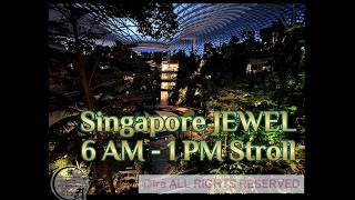 Strolling through Jewel Singapore and Changi Airport T3 from 6 AM to 1 PM on a weekday
