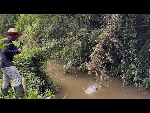 That's why I love fishing in the small streams, there's always a surprise, today there were 4 typ...