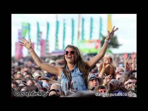 2 Many DJ's - Live at Creamfields - 2008