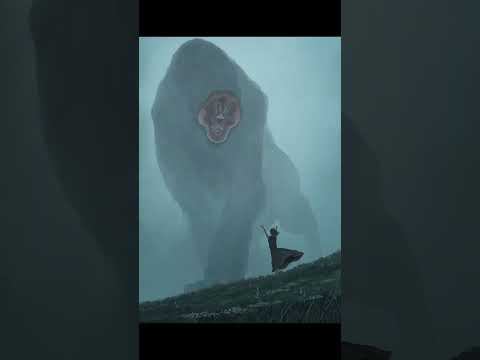 不気味な新種のクモを発見:この動物は幽霊のような体をしている