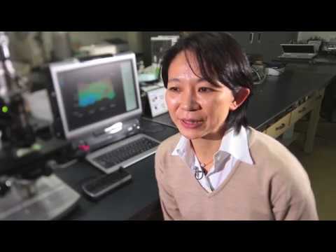 海洋電子機械工学科 東京海洋大学Scientist Profile　福岡 美香