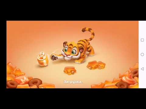 Wildscapes 313 Level