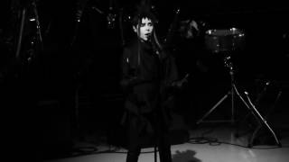 PJ Harvey - A Line in the Sand (Greek Theater, Los Angeles CA 5/12/17)