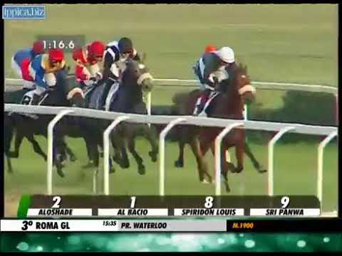 Spiridon Louis - Premio Waterloo