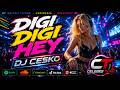 DIGI DIGI HEY - Viral music 2026